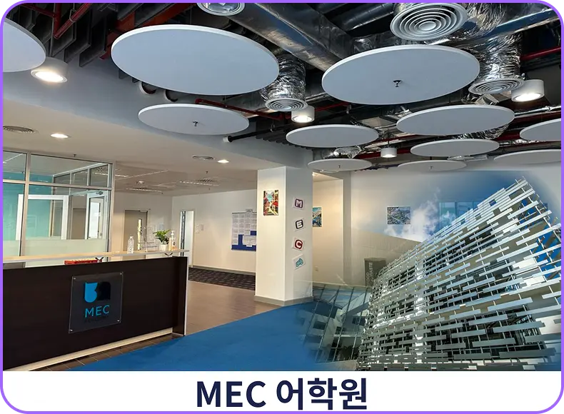 멕아카데미