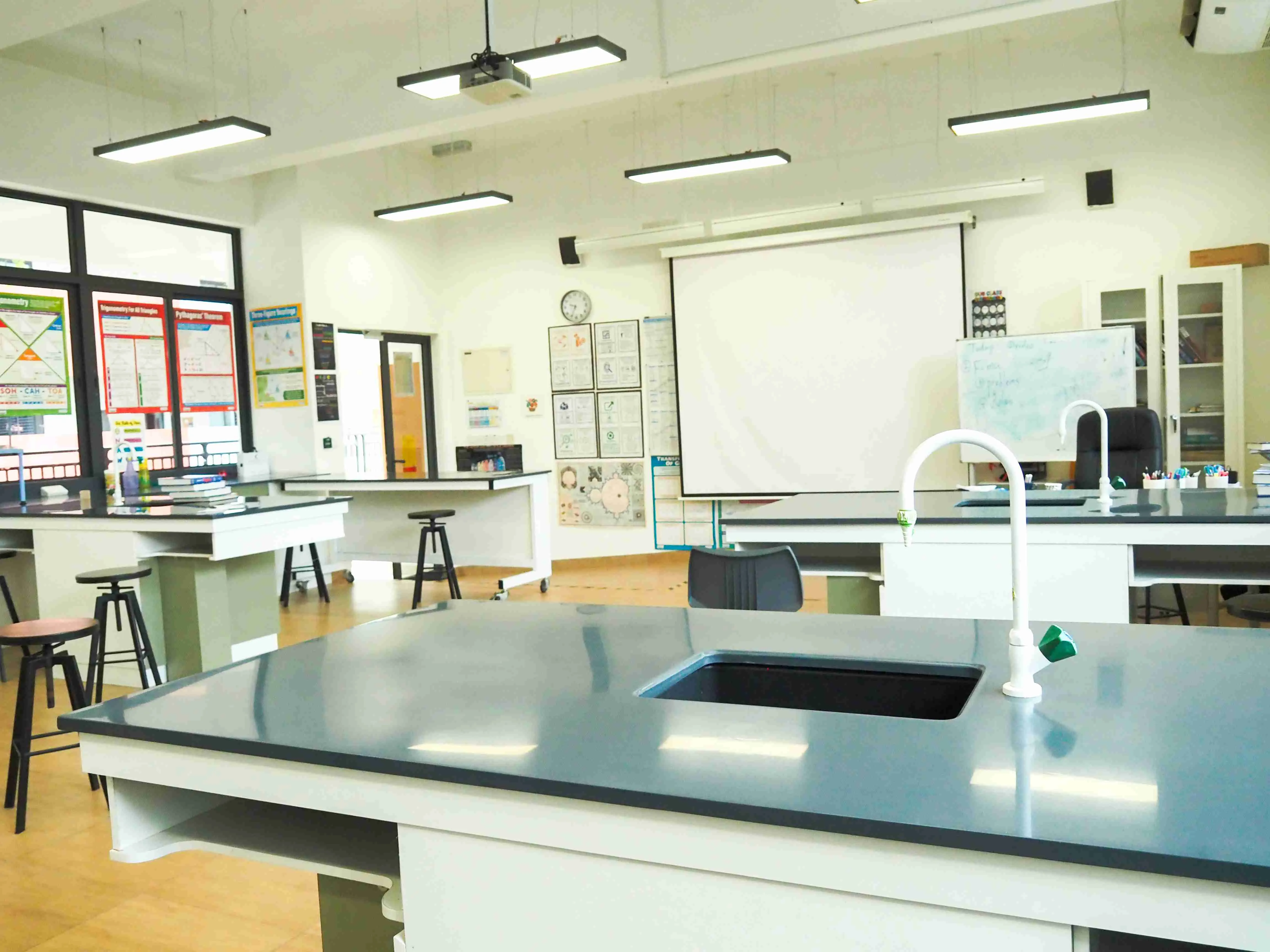 Forest City photo 13