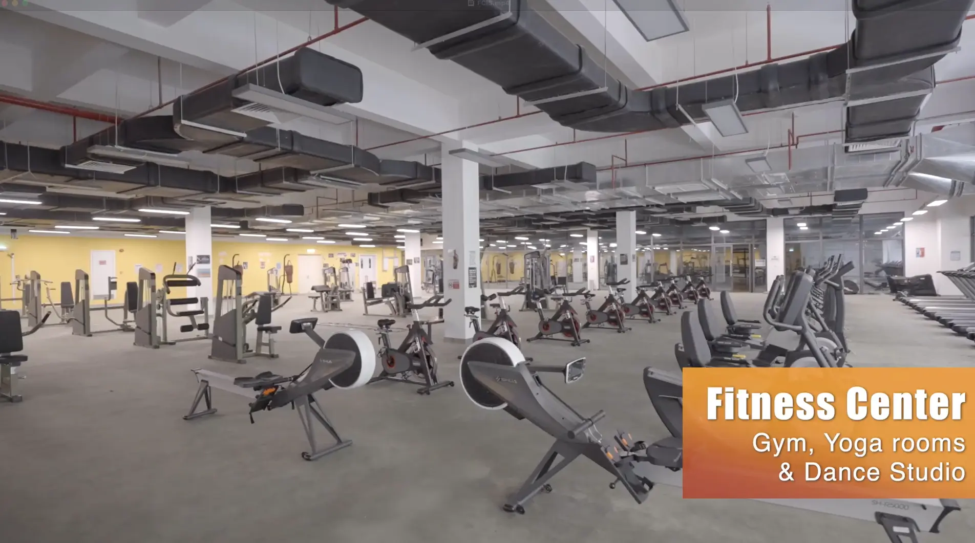 Forest City photo 21