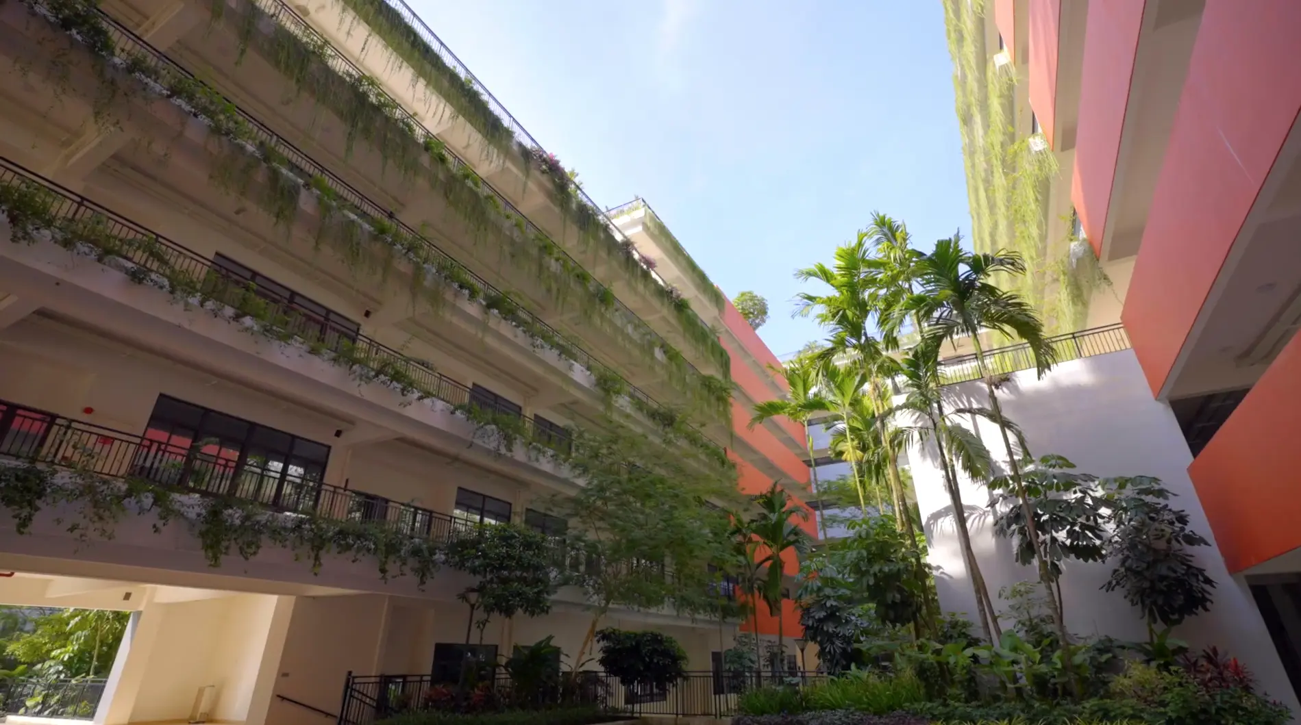 Forest City photo 22