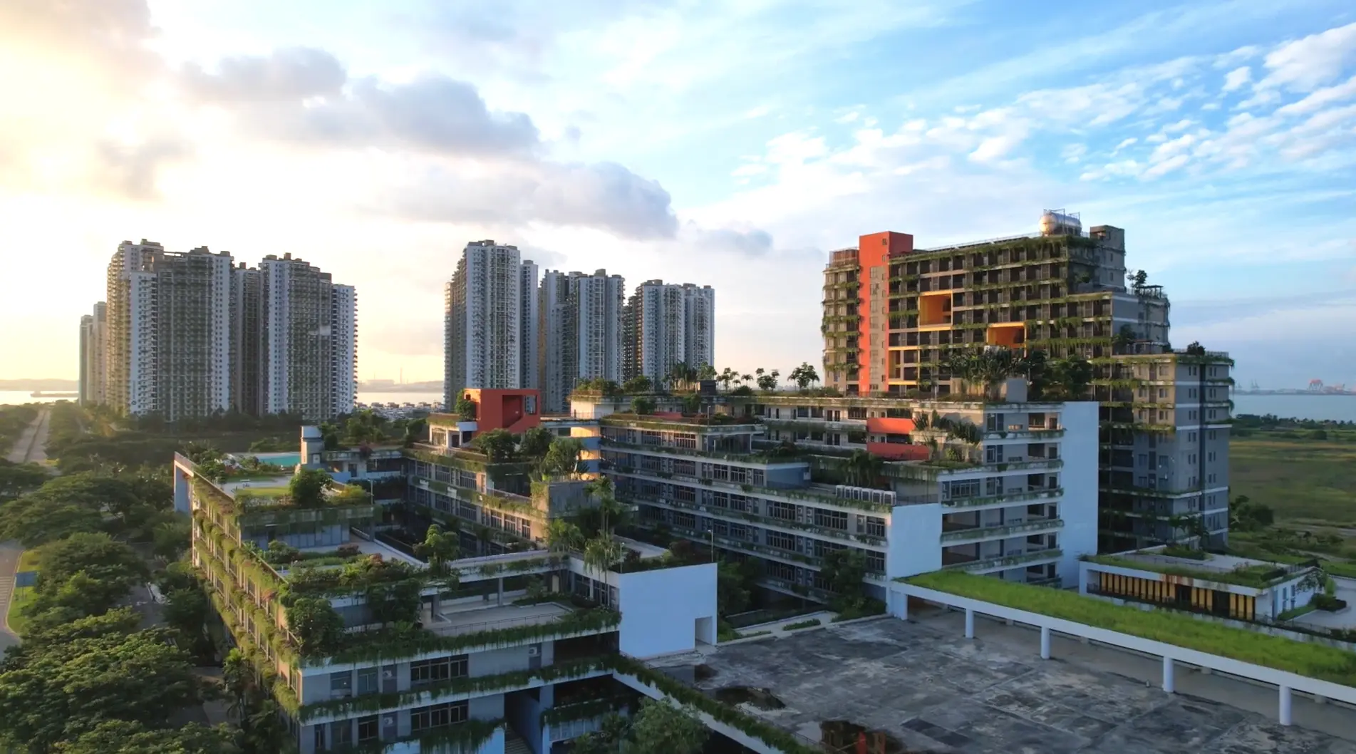 Forest City photo 25