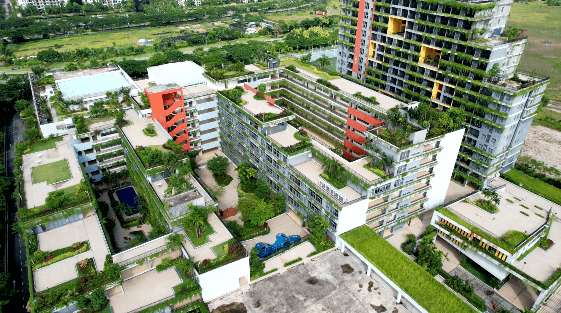 포레스트 시티 사진1